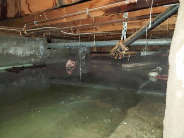 Best Flooded house restoration  in Burr Ridge, IL