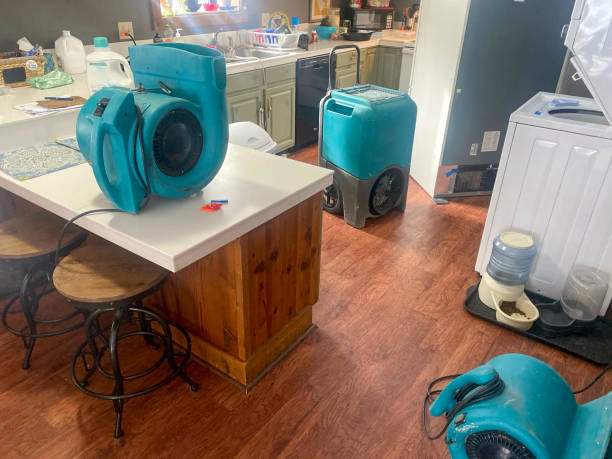 Best Water damage restoration cost  in Burr Ridge, IL