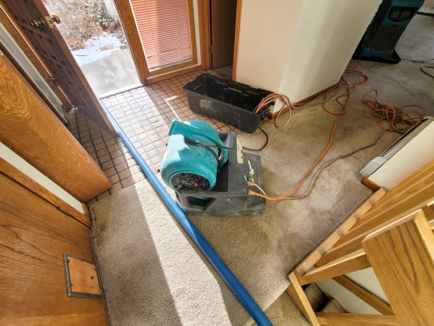 Best Water damage restoration insurance claims  in Burr Ridge, IL