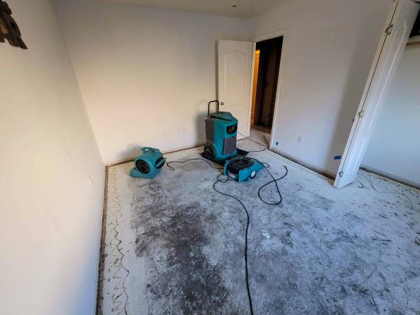 Best Water damage restoration mold remediation  in Burr Ridge, IL