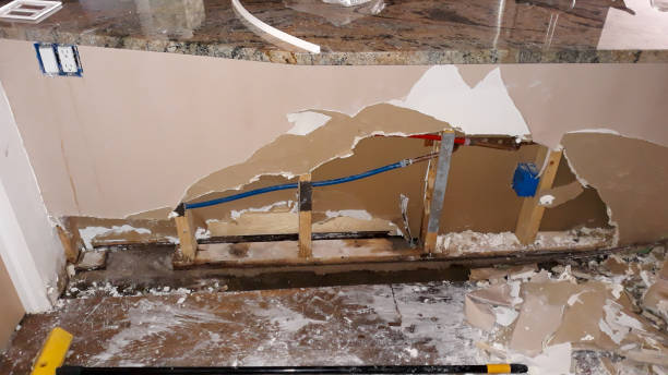 Best Ceiling water damage repair  in Burr Ridge, IL
