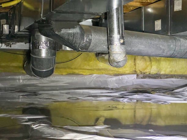  Burr Ridge, IL Water damage restoration Pros