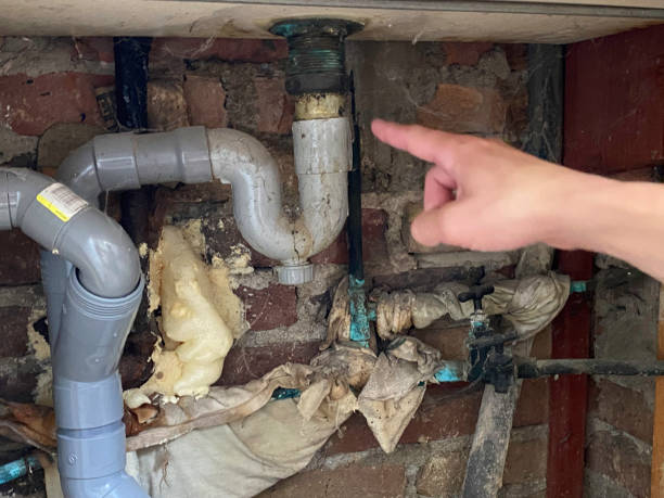 Best Flood restoration services  in Burr Ridge, IL